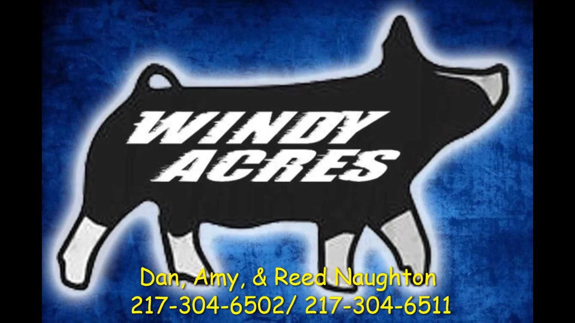 5 Star Pig Sale  Friday  and Breeders Classic Saturday Peoria, IL