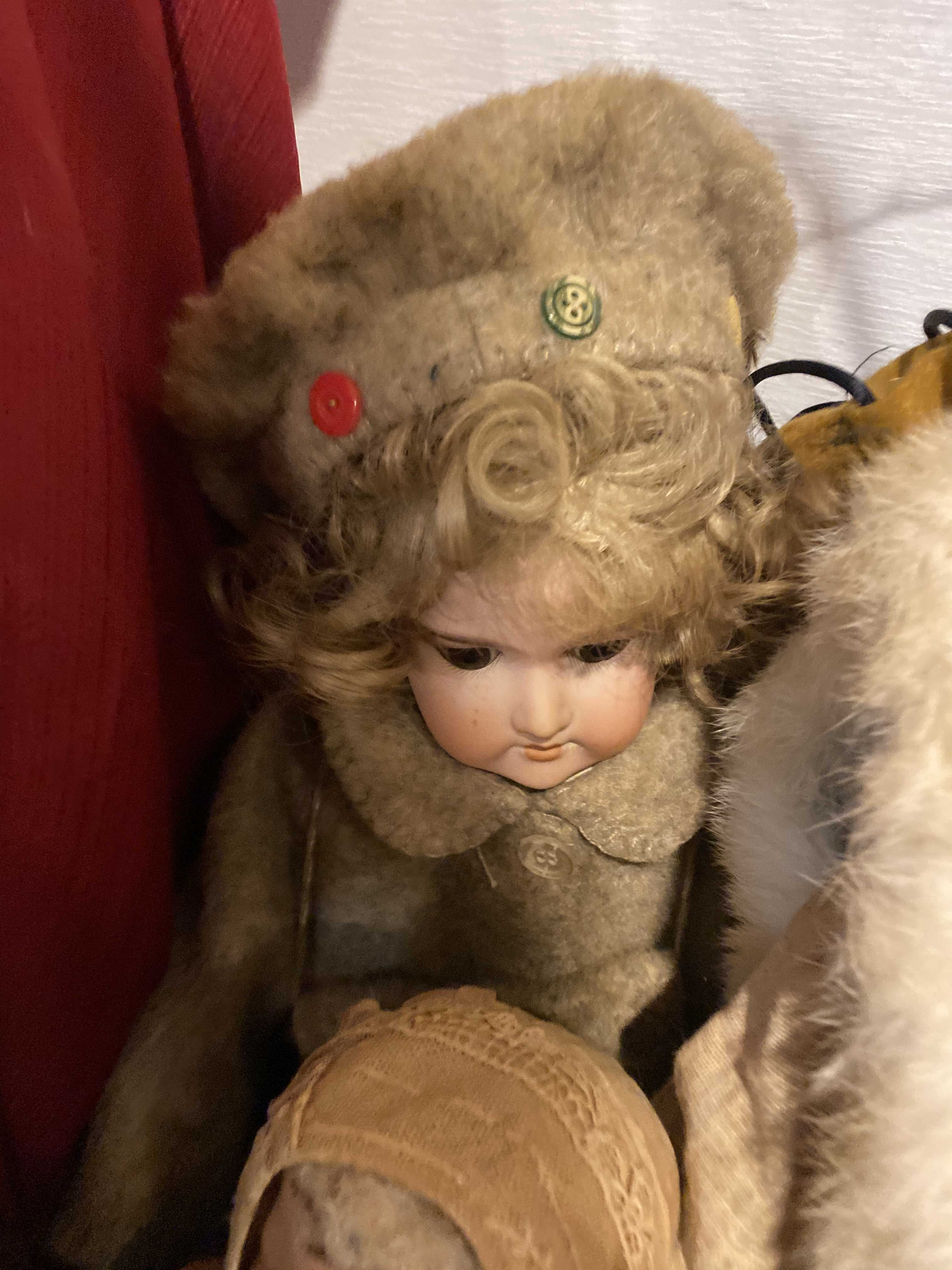 Huge Doll Auction