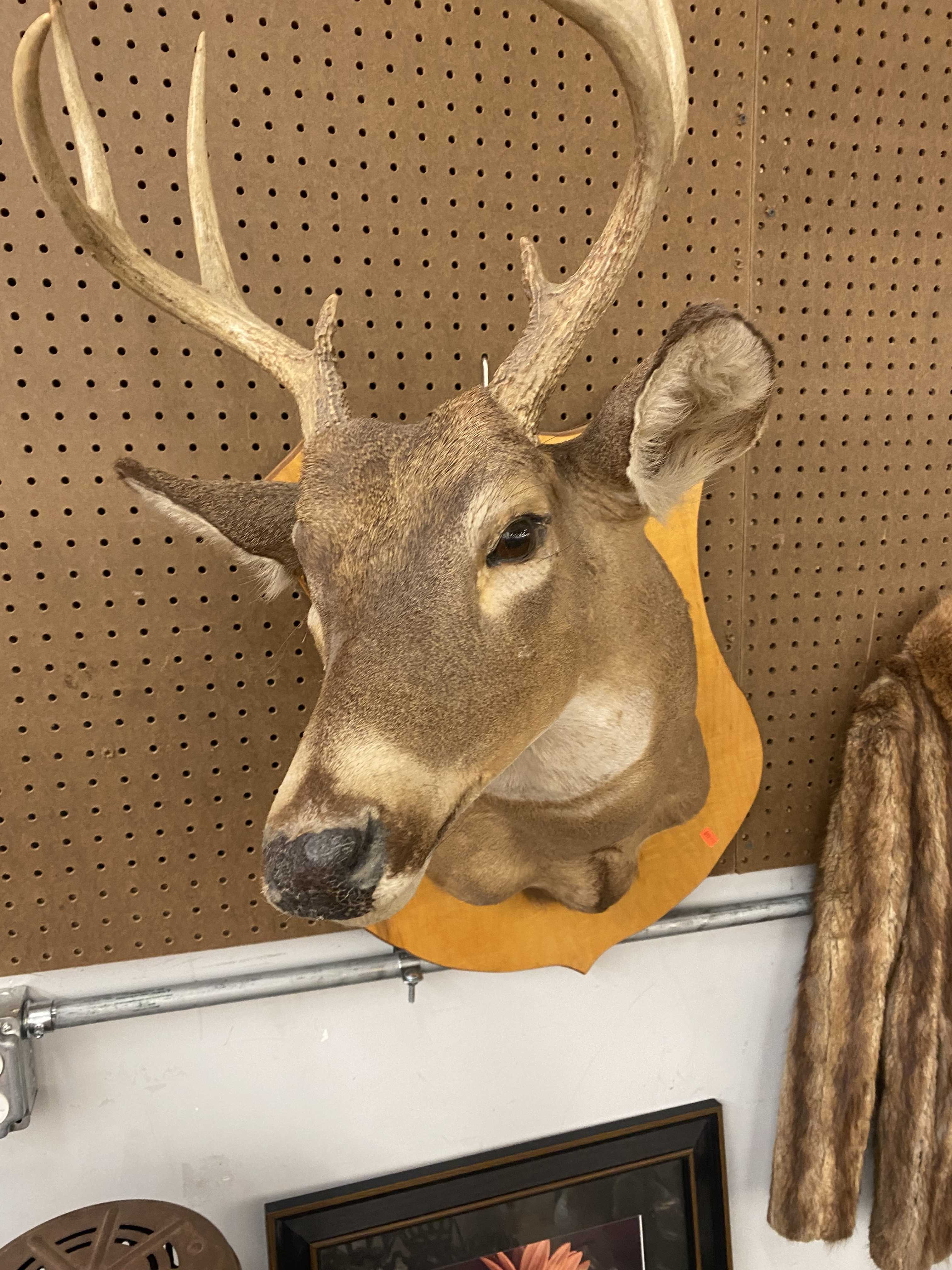 FRIDAY NIGHT AUCTION