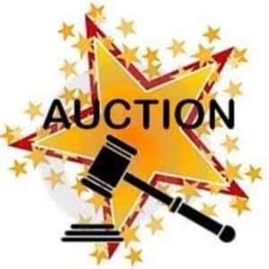Mount Erie Fall Festival Fun Auction