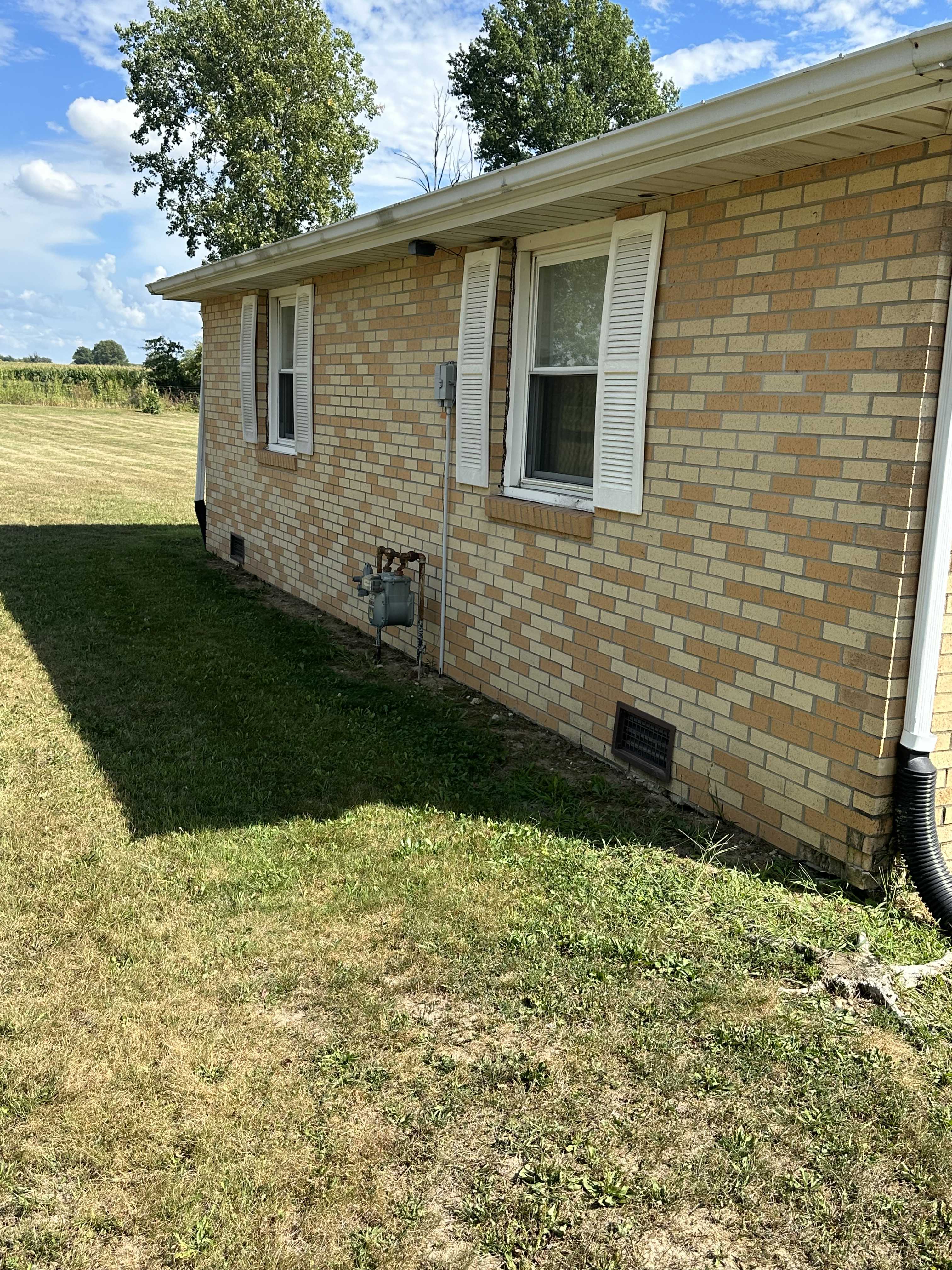 Estate Auction 