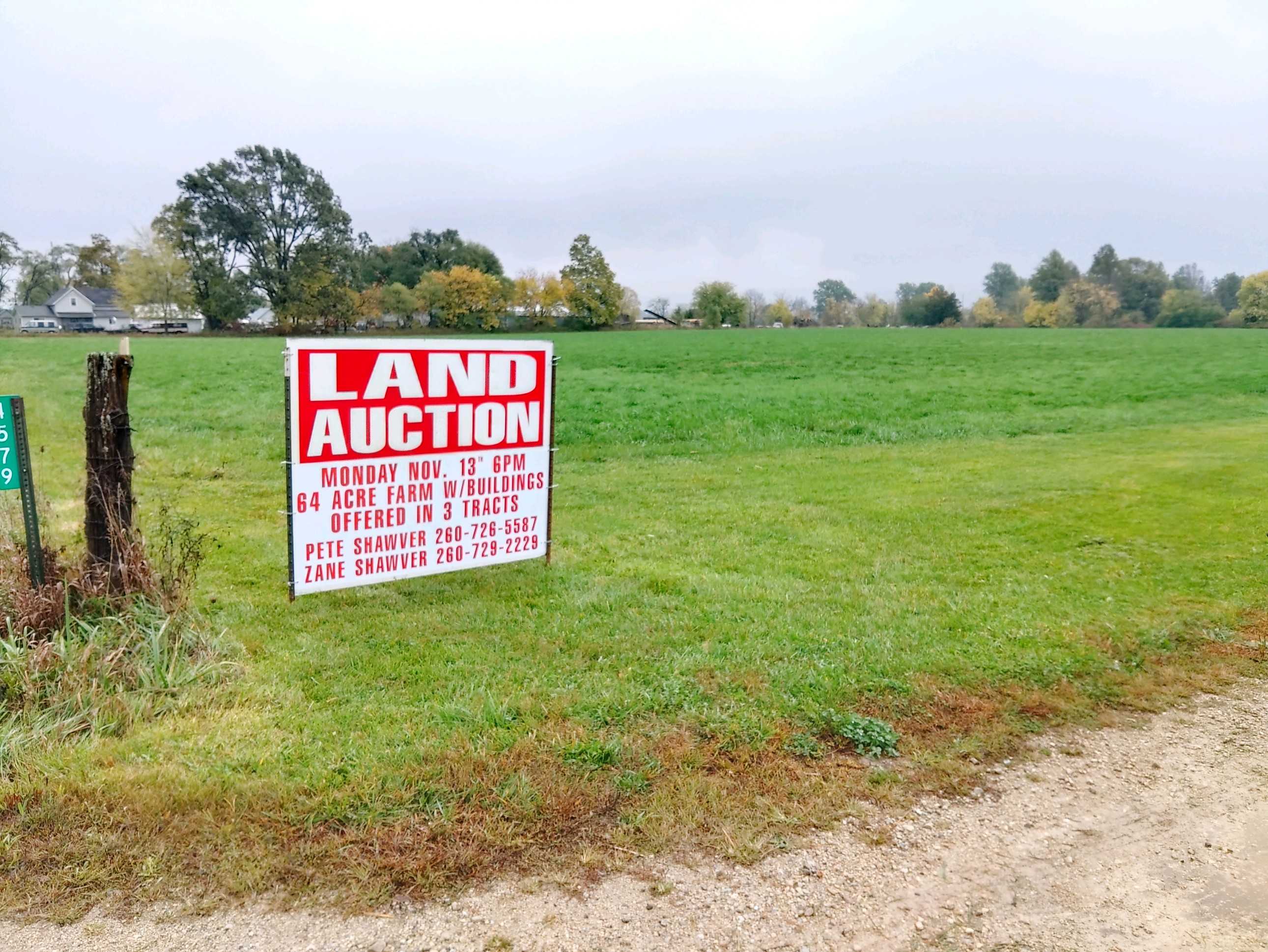 SCHWARTZ AUCTION