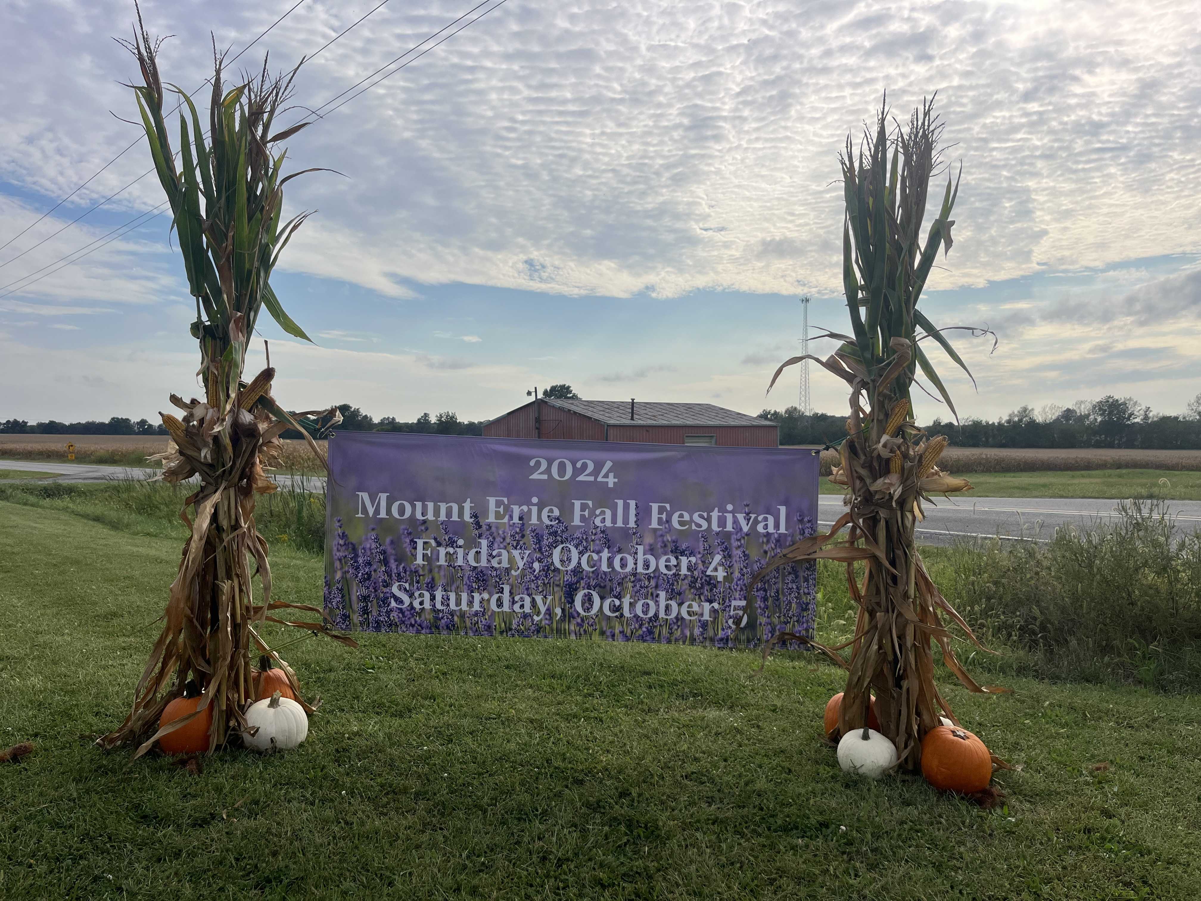 Mount Erie Fall Festival Fun Auction - 2024