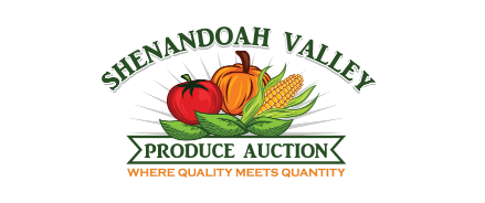 Auction teaser for Test Auction