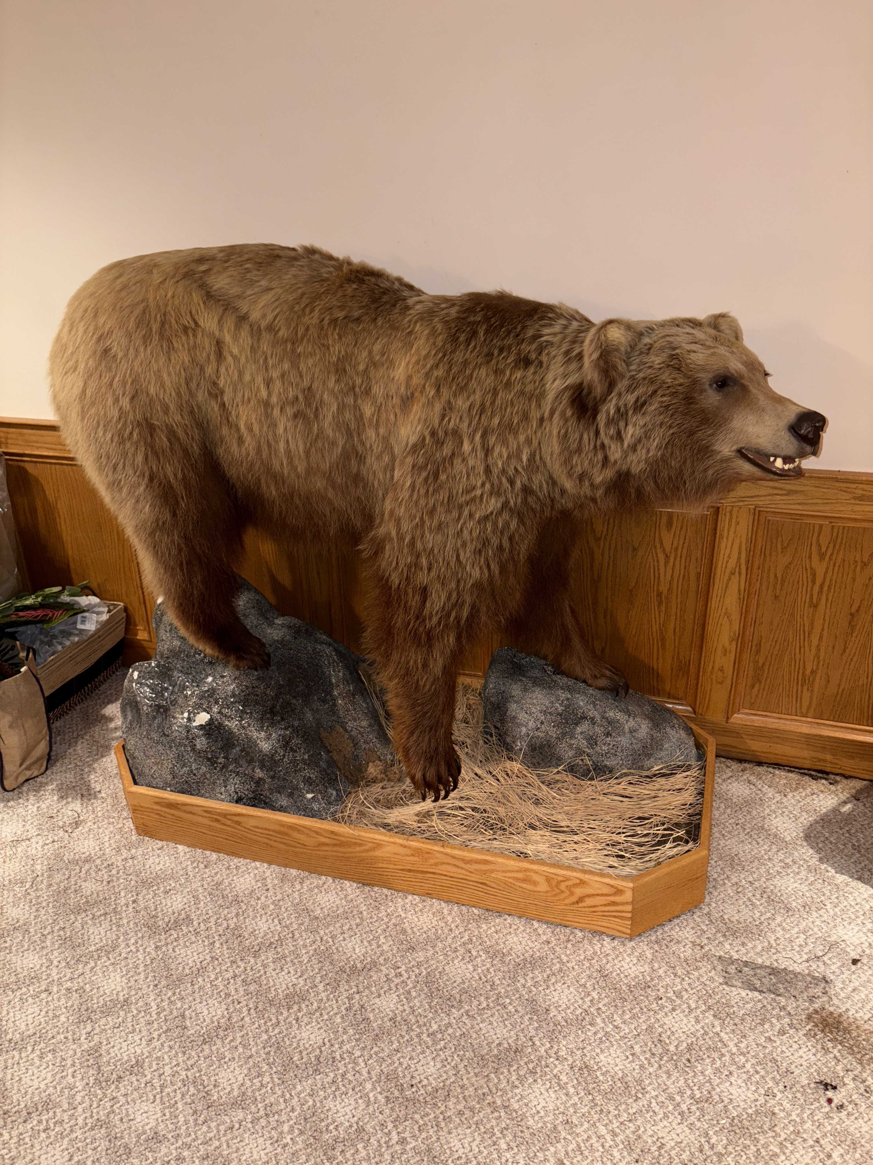 Featured auction image