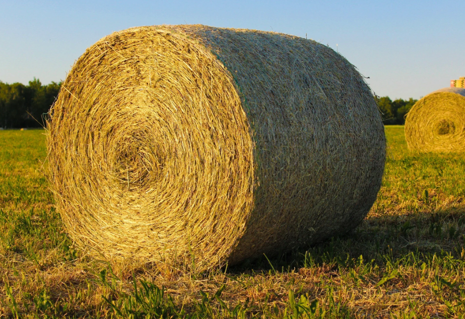 Auction teaser for Hay and Equipment Sale 