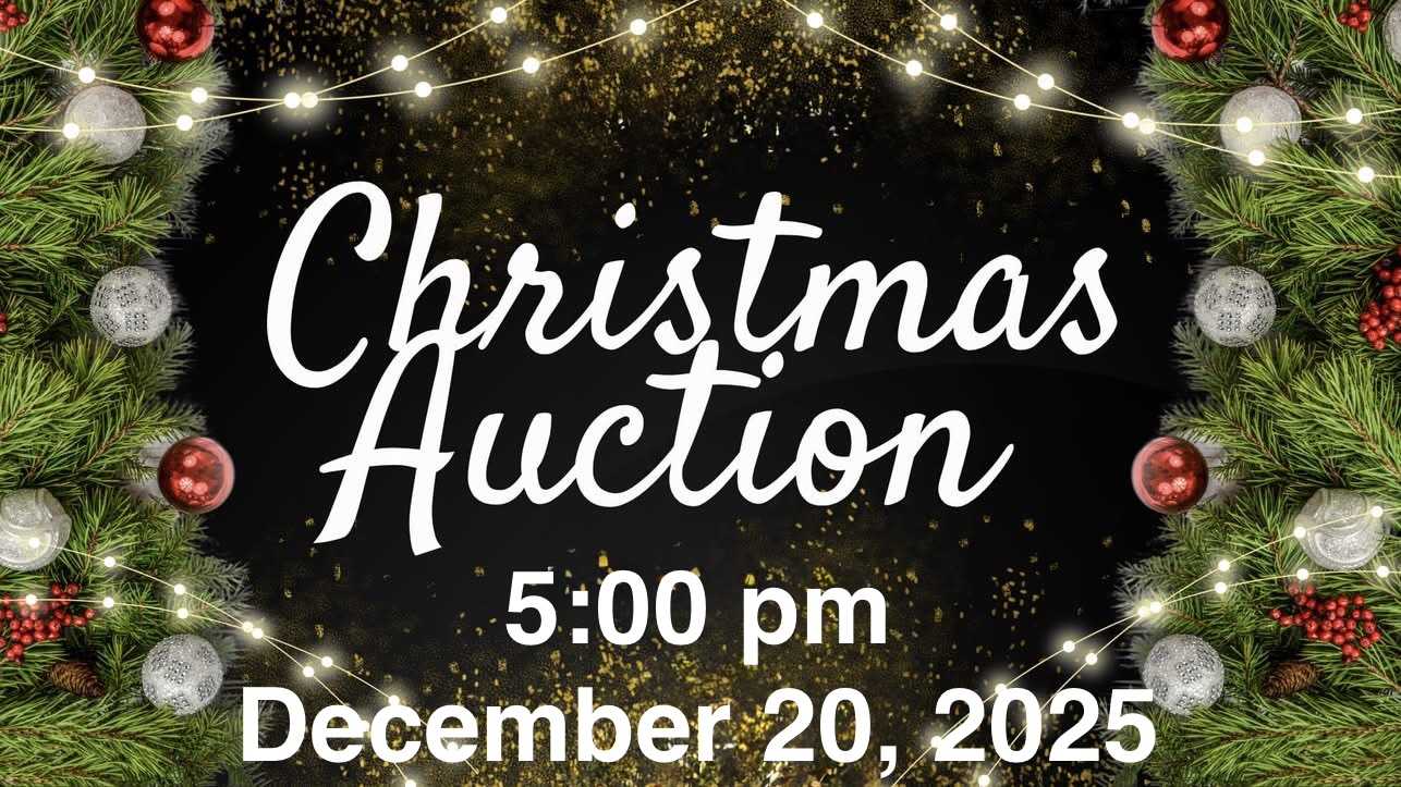 Auction teaser for  Christmas Auction