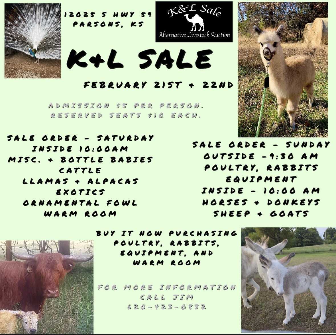 Featured auction image