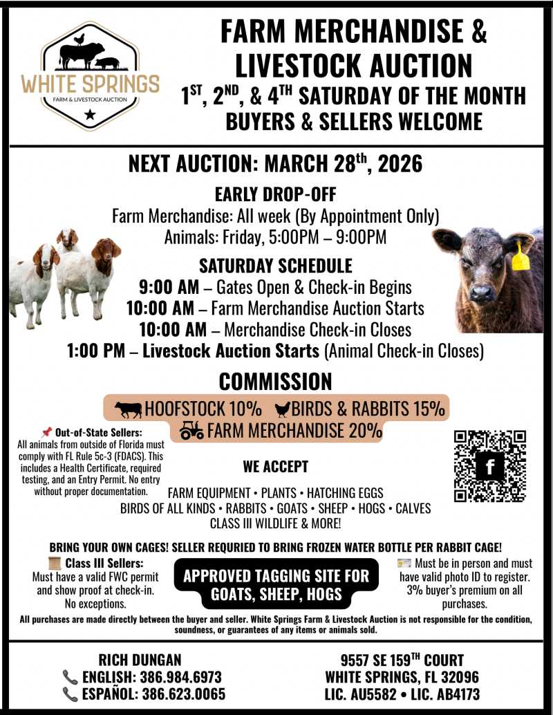 Featured auction image