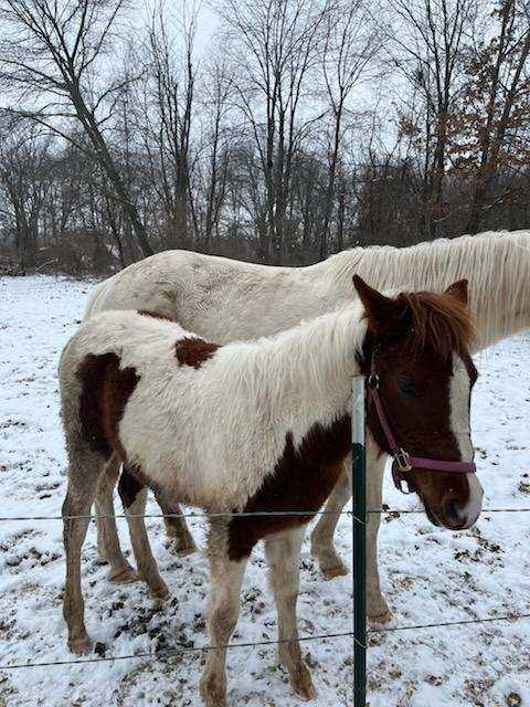 Featured auction image