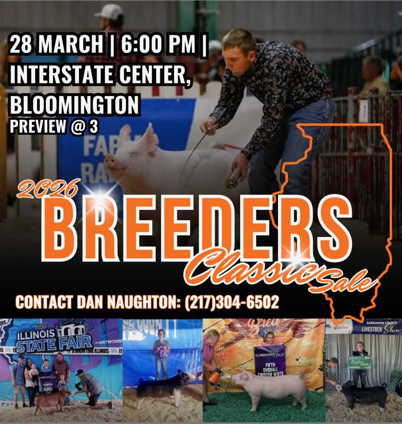 Auction teaser for Breeder’s Classic Show Pig Sale 