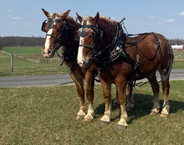 Featured auction image