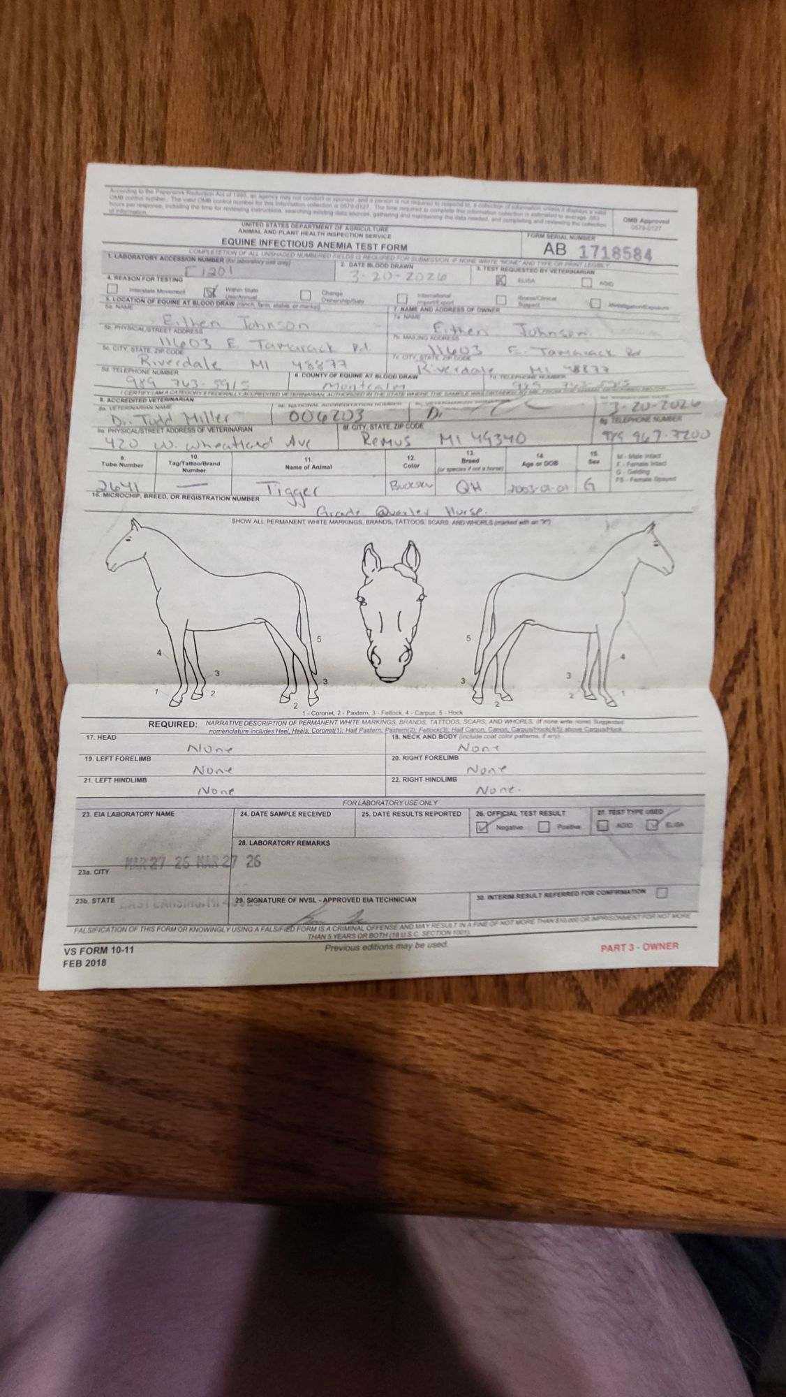 Featured auction image