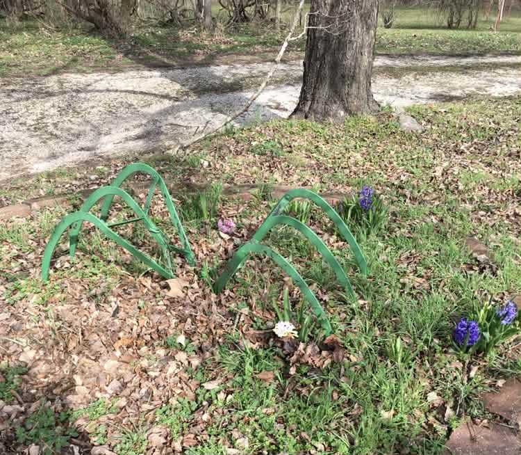 Auction teaser for Estate Auction