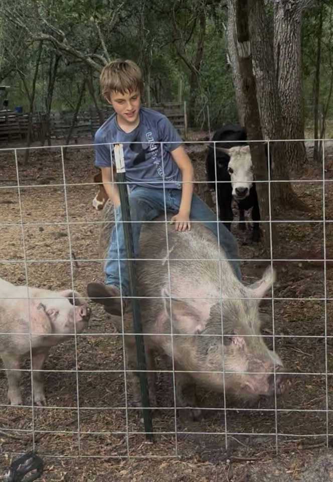 Auction teaser for 05.23.2026 Farm & Livestock Auction