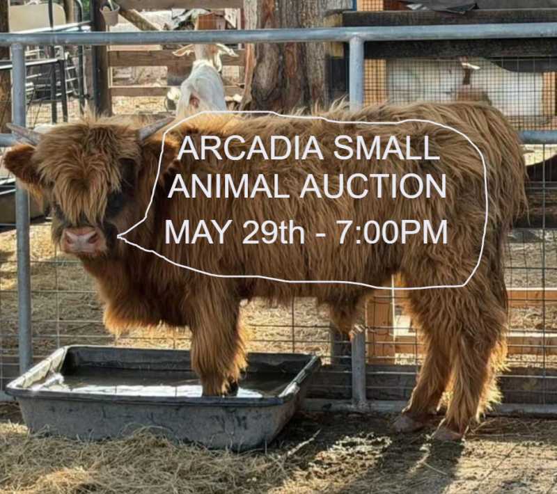 Featured auction image