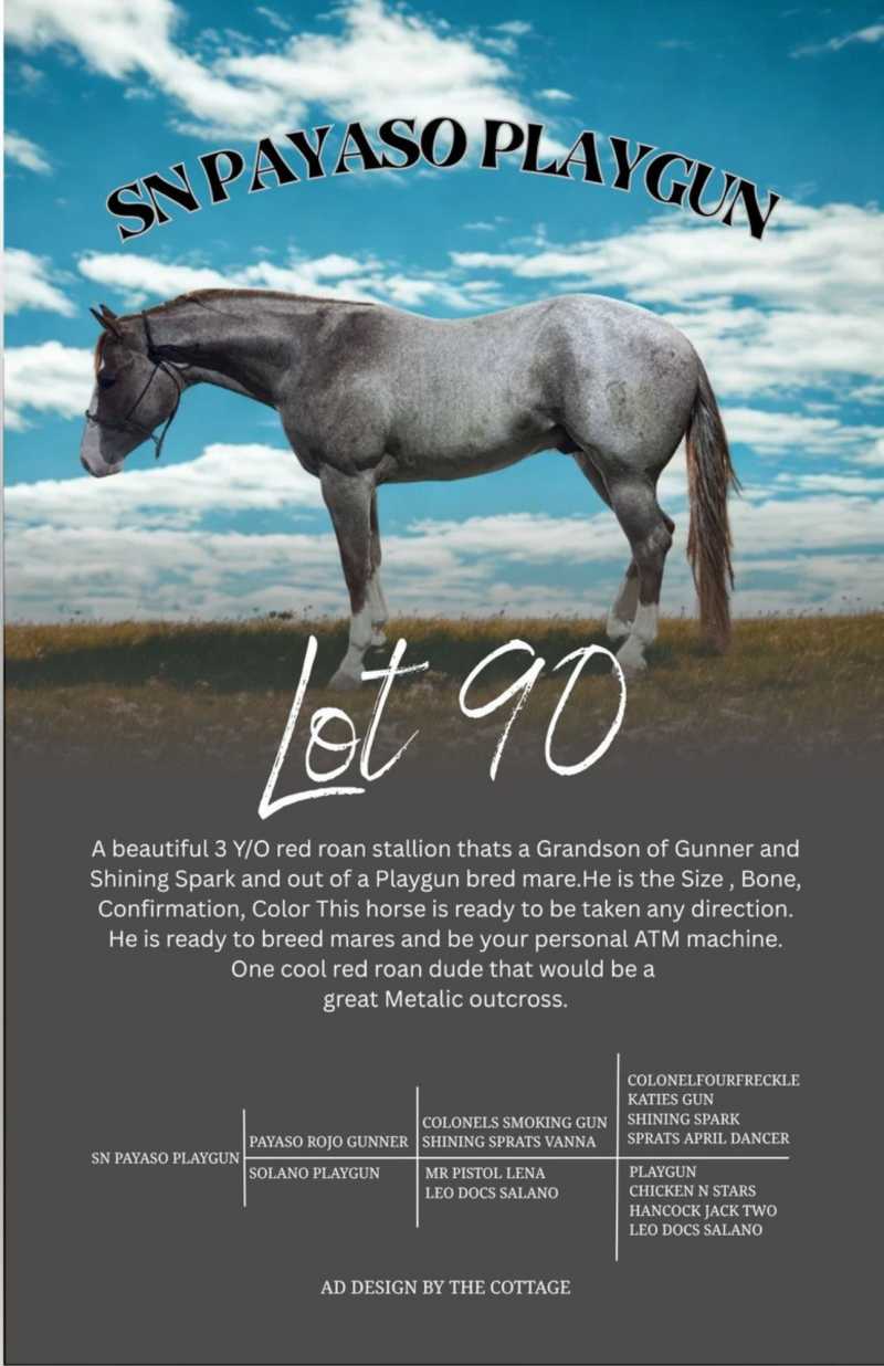 Featured auction image