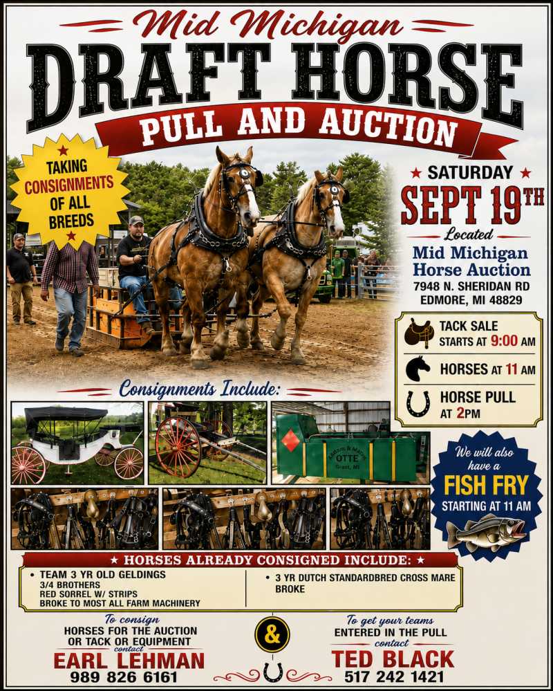 Featured auction image