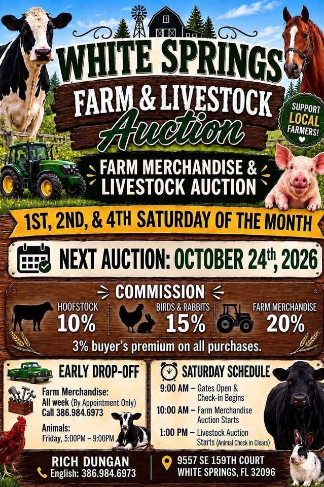 Featured auction image