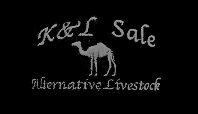 Auction teaser for K&L Alternative Livestock Sale (Spring 2024)